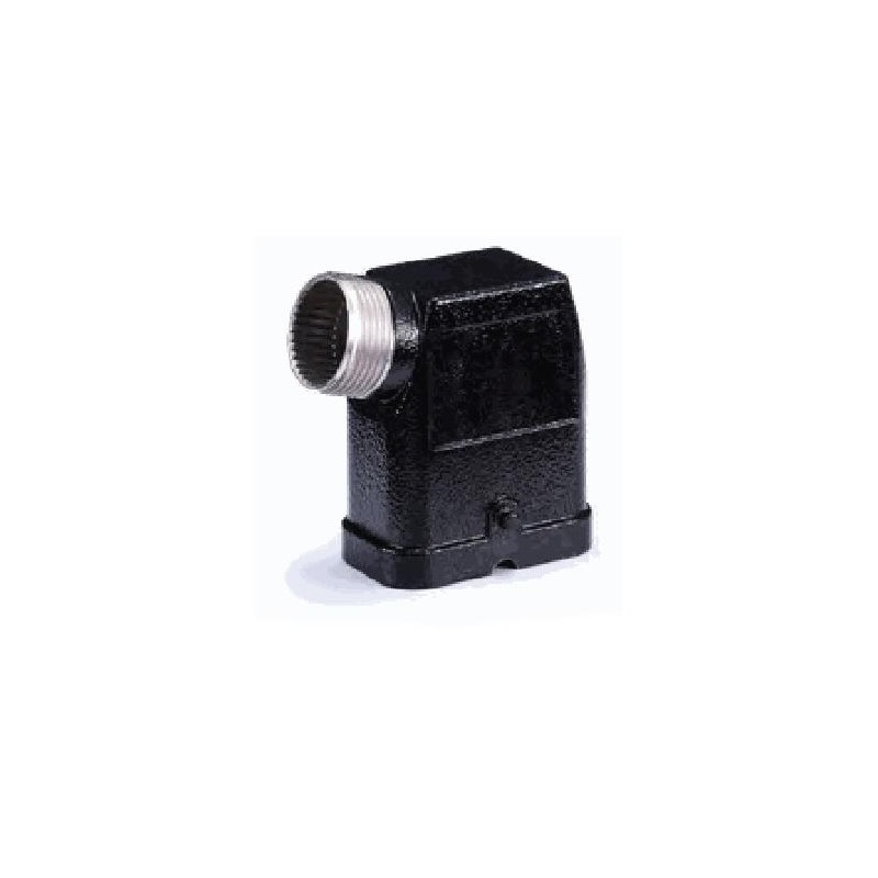 Capot C, Alliage de zinc moulé, acier inoxydable, IP65, Sortie horizontale, M25